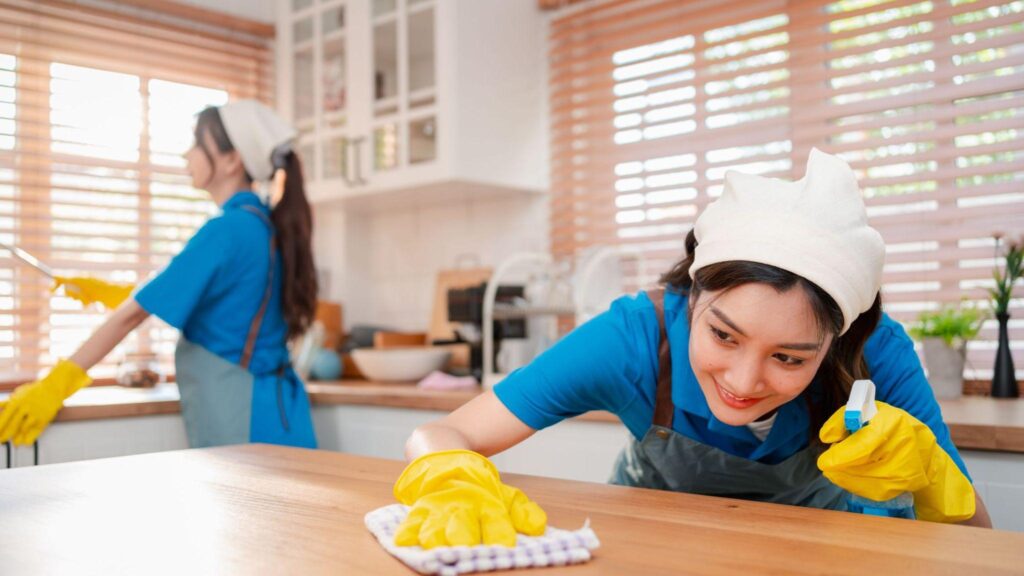 Professional House Cleaning Services Raleigh